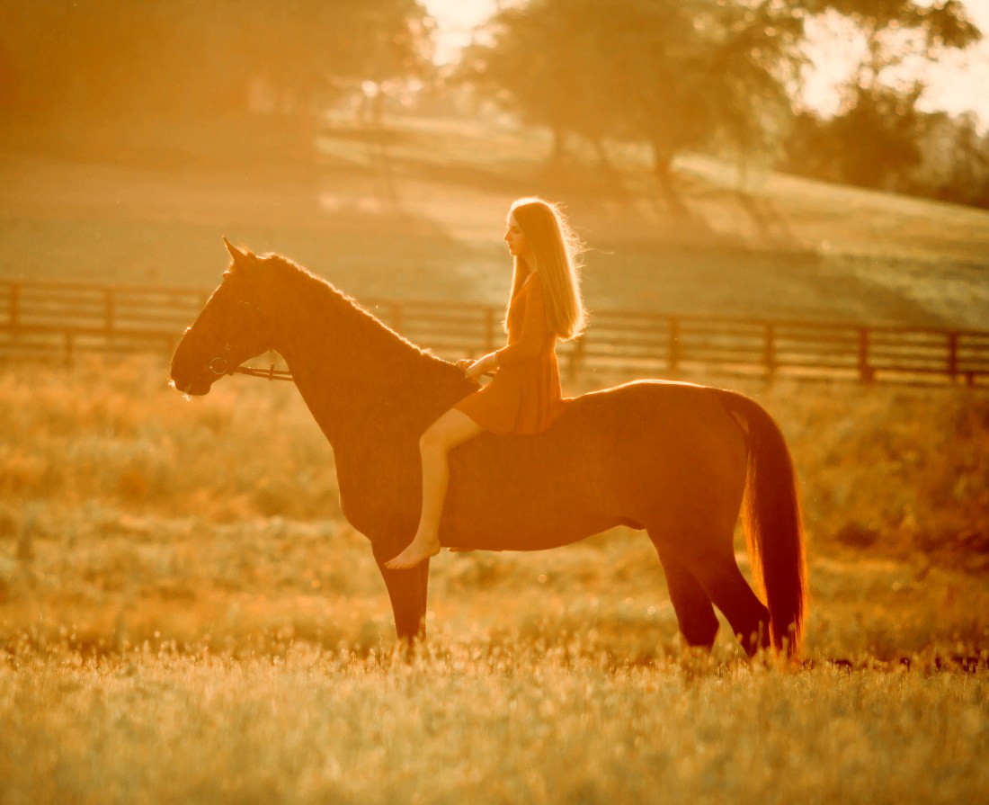 3DACC887-4866-46FB-B3A9-EA5C8FF95909